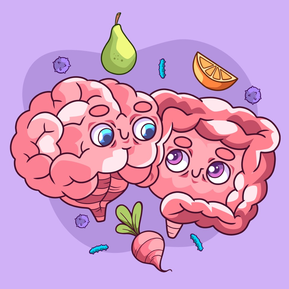 An illustration of the brain and digestive system with vegetables surrounding them. 